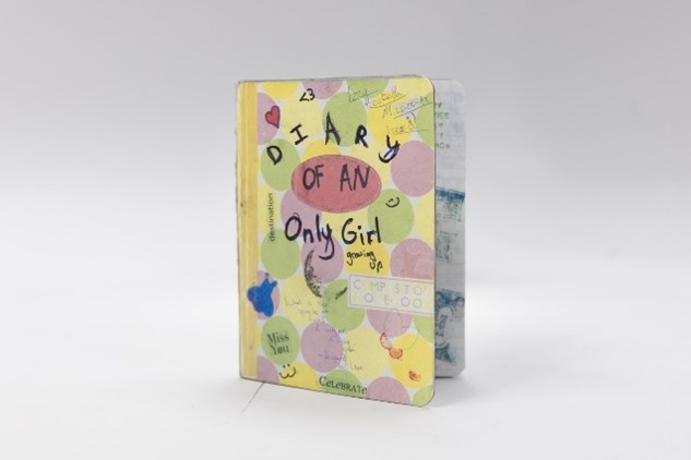 Diary of an Only Girl (mini journal) by Izzy Sneed Cover