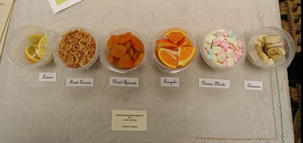 Scents & Scentability