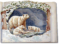 Wild Animal Stories (Polar Bear)